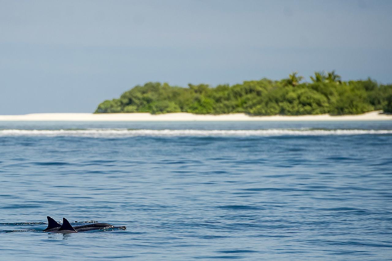 Detour Beach View Hangnaameedhoo Exteriör bild