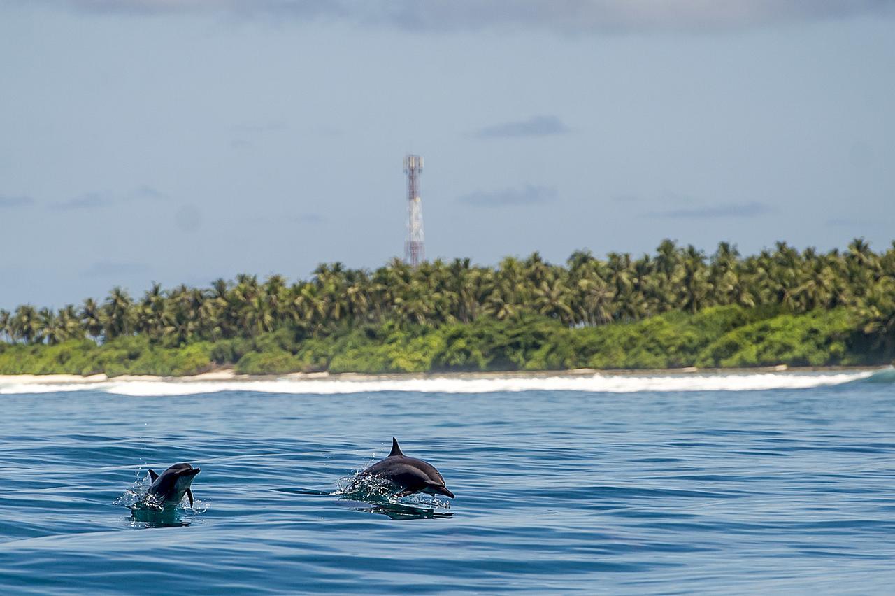 Detour Beach View Hangnaameedhoo Exteriör bild